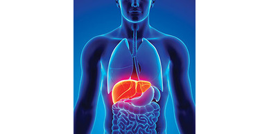 liver conditions